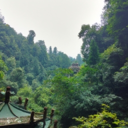 青城山旅游攻略(青城山旅游攻略)