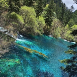 从成都去九寨沟景区(走近四川瑰丽风光：从成都到九寨沟的旅游攻略)