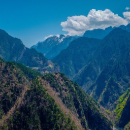 叠溪松坪沟景区攻略(叠溪松坪沟景区攻略：向往的原始丛林之旅)