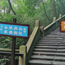 杭州超山风景区怎么去(杭州超山风景区怎么去)