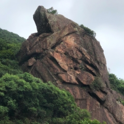 衡山的特产有哪些（衡山之行，带您品尝独特的美食特产）