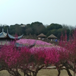 梅园景区旅游多久(梅园景区旅游攻略-探寻绿色胜地)