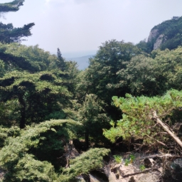 庐山风景区好玩的地方(庐山风景区：天然的桃源仙境)