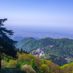 莫干山风景区(莫干山风景区：漂泊山水间的心灵净土)