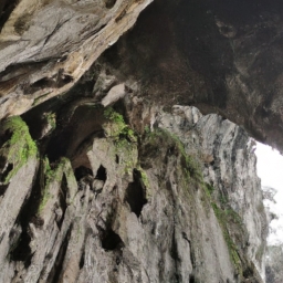 鸡冠洞附近有哪些景区(鸡冠洞附近的景区——探寻神秘的自然之美)