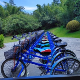 景区公共自行车(景区公共自行车——体验自然美景的最佳方式)