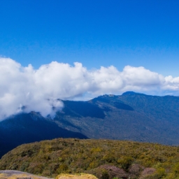 苍山景区(苍山景区之美：草木葱茏绝美的自然风光)