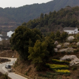 3月自驾游(3月自驾游，探寻春景美景)