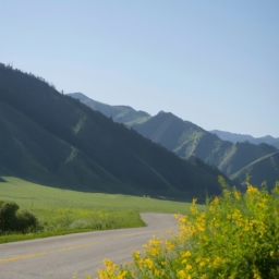 伊犁攻略(伊犁之旅，玩遍天山美景)