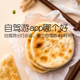 自驾游app哪个好(自驾游出行必备，哪个自驾游app好用？)