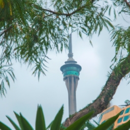 香港赴澳门一日游(香港一日游：穿越珠海海底隧道，畅游澳门)