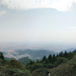 莫干山跟团游(莫干山之旅，欣赏自然之美)