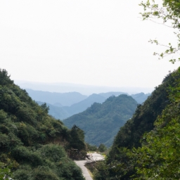 上海到丽水自驾游(上海到丽水自驾游：探秘浙南风光)