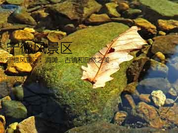 宁德风景区(宁德风景区：海滩、古镇和自然之美)