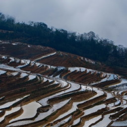 元阳自驾游(元阳田园风光，用车去探寻 )