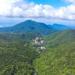 九宫山跟团(九宫山，一路行走，体验自然的魅力)