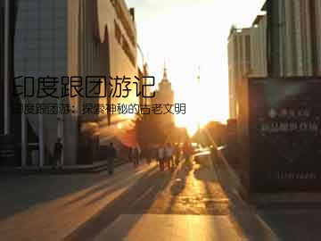 印度跟团游记(印度跟团游：探索神秘的古老文明)