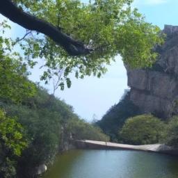 如何跟团旅行(跟团旅行，一场自由之旅)