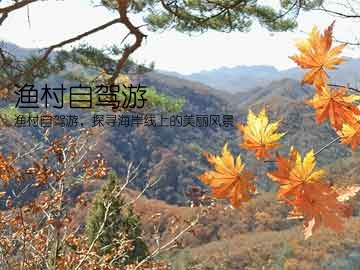 渔村自驾游(渔村自驾游，探寻海岸线上的美丽风景)