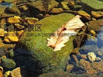 喇叭河景区(喇叭河景区：走进山水之中领略大自然的韵味)