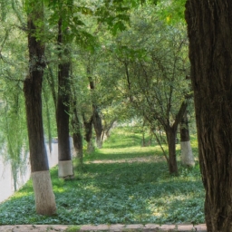 沈阳跟团游(沈阳跟团游攻略，走进帝都历史)