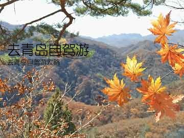 去青岛自驾游(去青岛自驾游攻略)