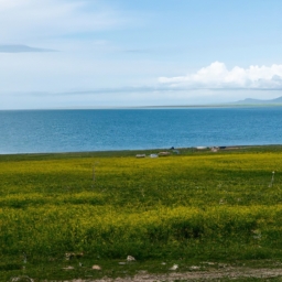 青海湖跟团游(青海湖跟团游攻略)