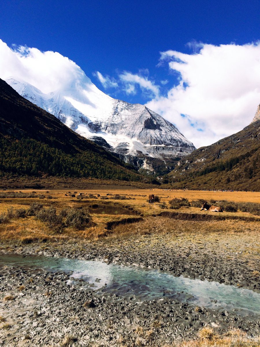 稻城亚丁旅游(稻城亚丁旅游攻略)