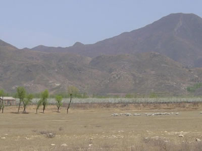 唐指山风景区(唐指山风景区图片)