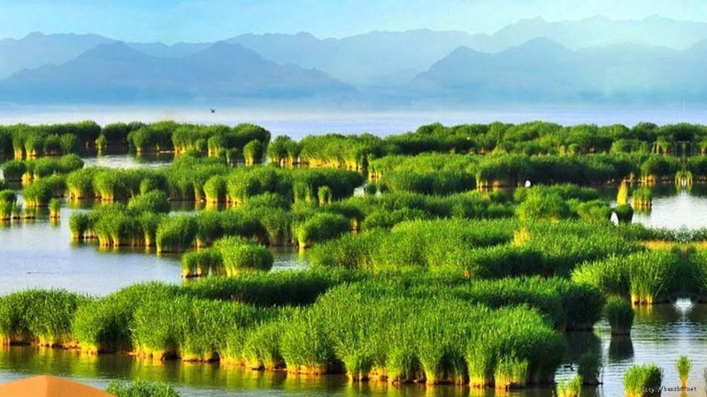 宁夏旅游景点(宁夏旅游景点大全介绍)