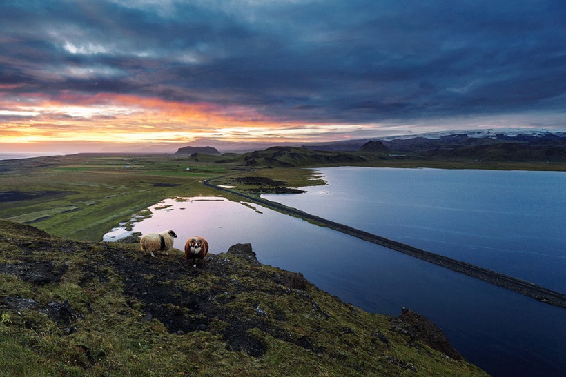 冰岛旅游(冰岛旅游攻略及花费)