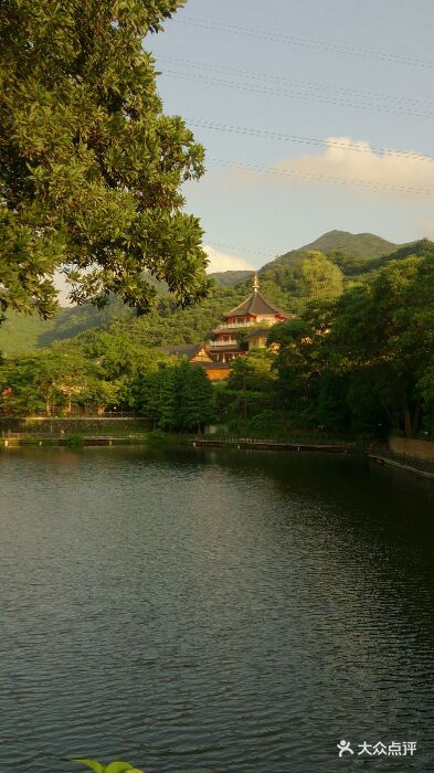 龙岗园山风景区(龙岗园山风景区怎么去)