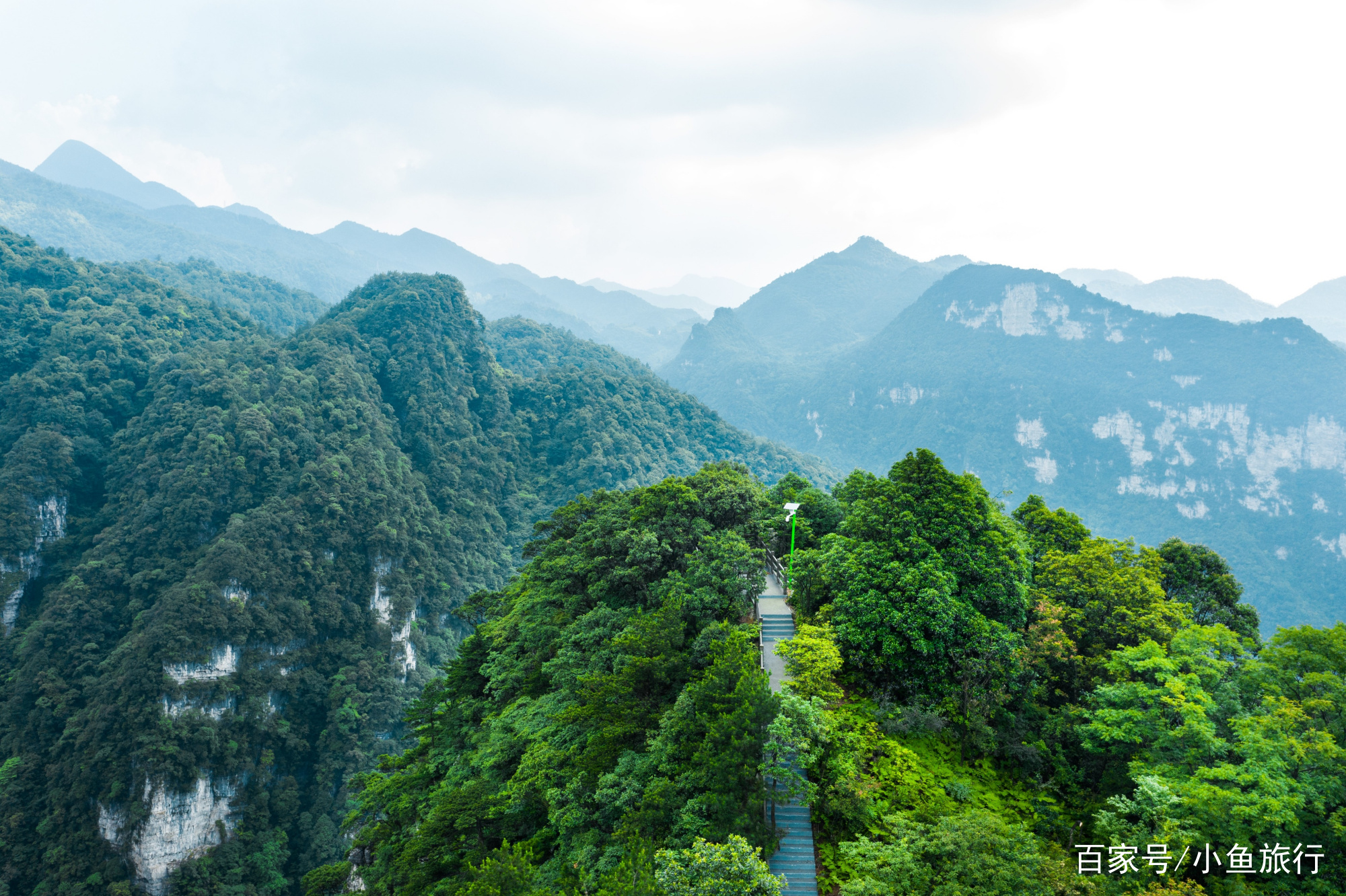 重庆到金佛山路线(重庆到金佛山旅游攻略)