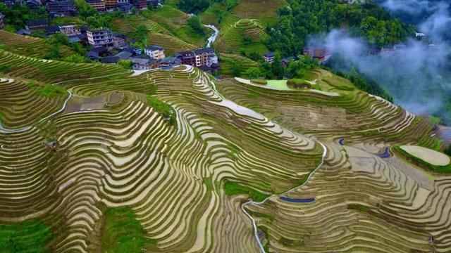 龙胜梯田攻略(龙胜梯田最佳路线)