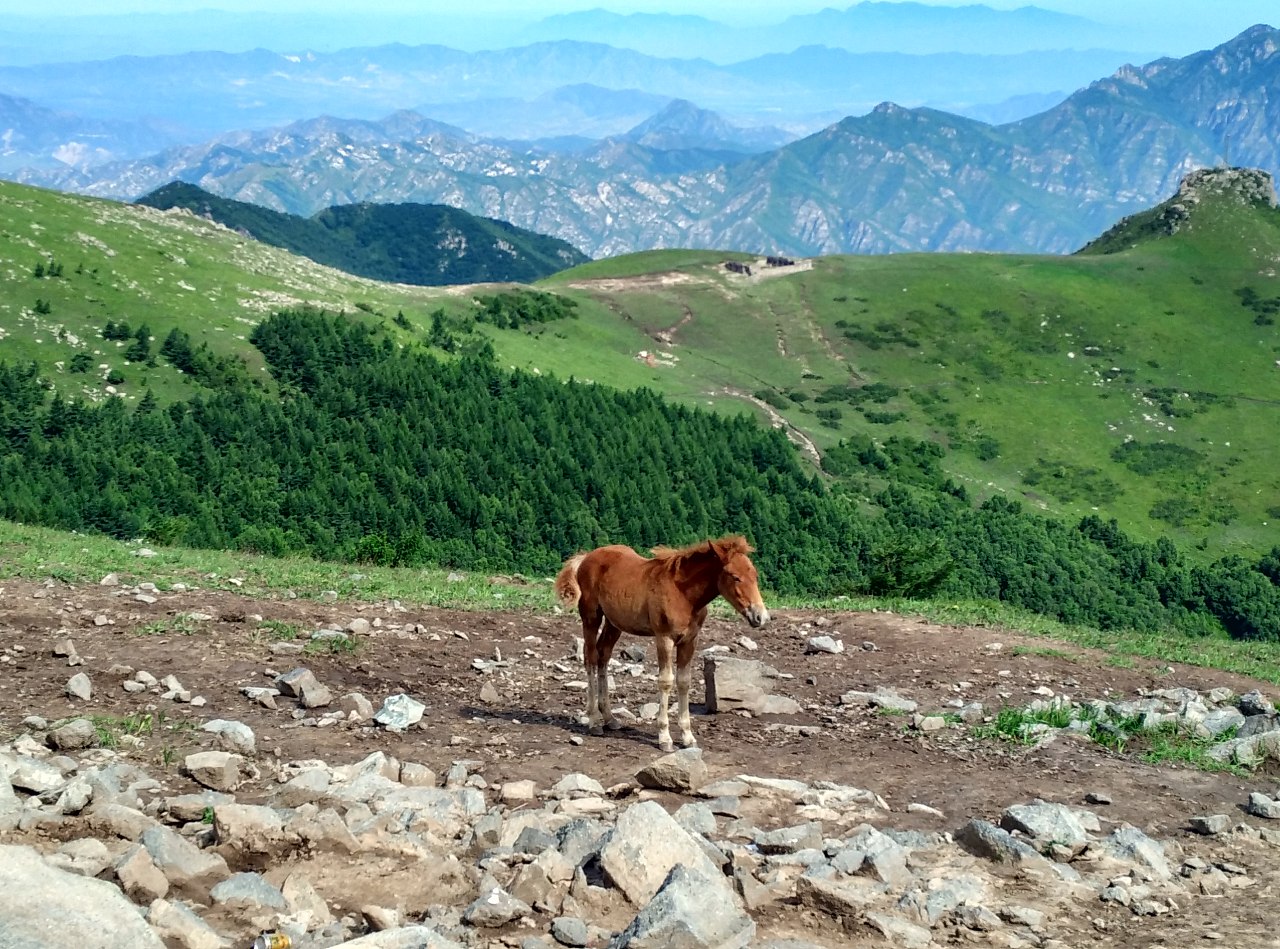 灵山自然风景区(门头沟灵山自然风景区)