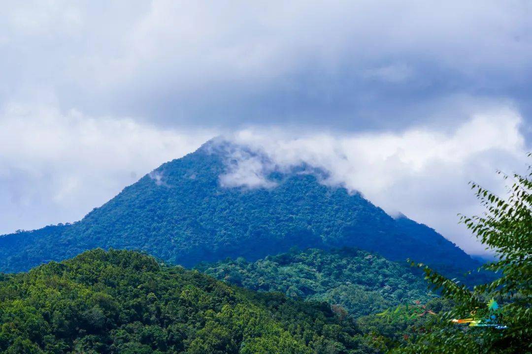 五指山旅游(五指山旅游景点攻略)