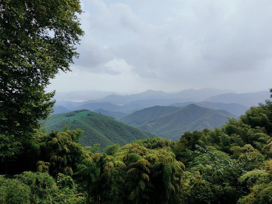 莫干山风景区(莫干山风景区自驾车能开进去吗)