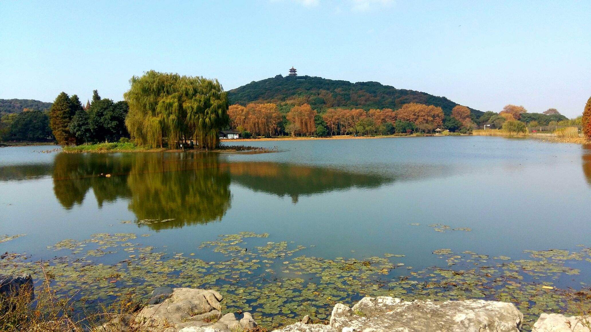 鼋头渚景区(鼋头渚景区电话)