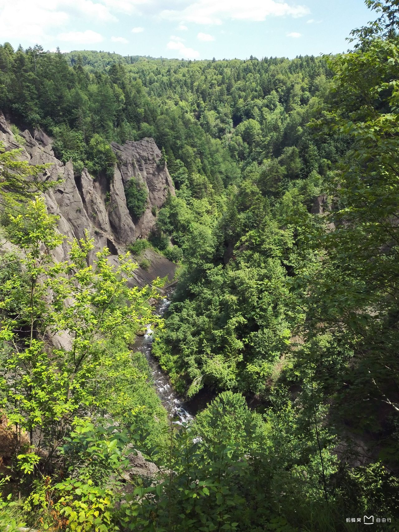 白山景点(国内十大旅游景点排名)