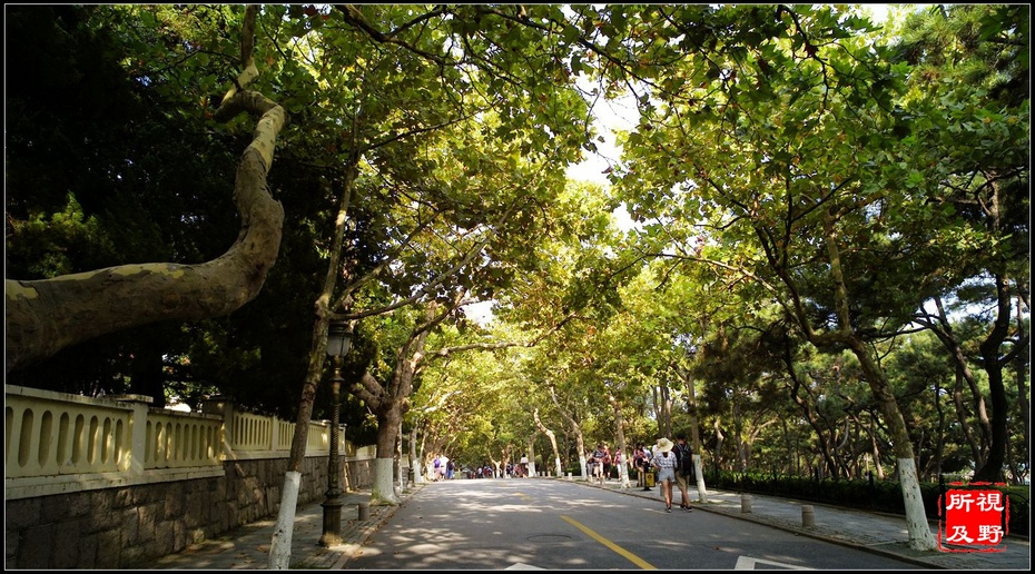 八大关风景区(青岛八大关是哪八大关)