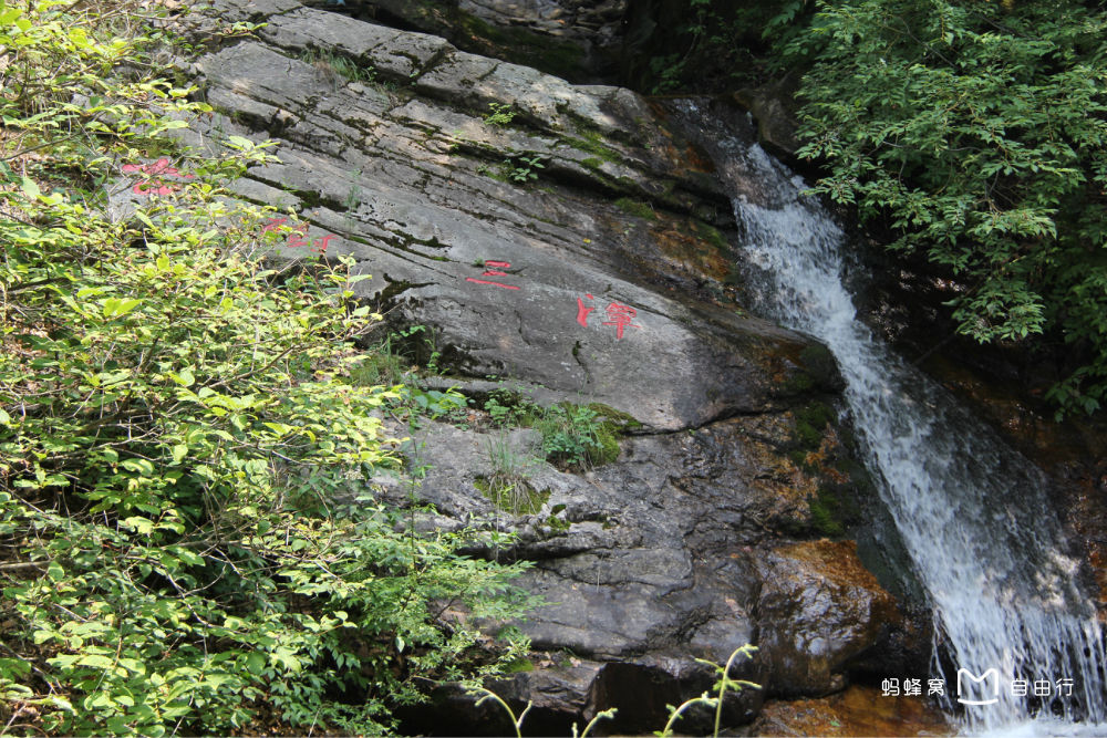 驼梁风景区(五岳寨和驼梁哪个好)