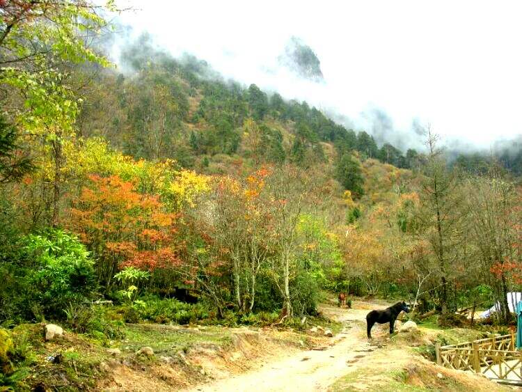 燕子沟风景区(燕子沟风景区天气预报)