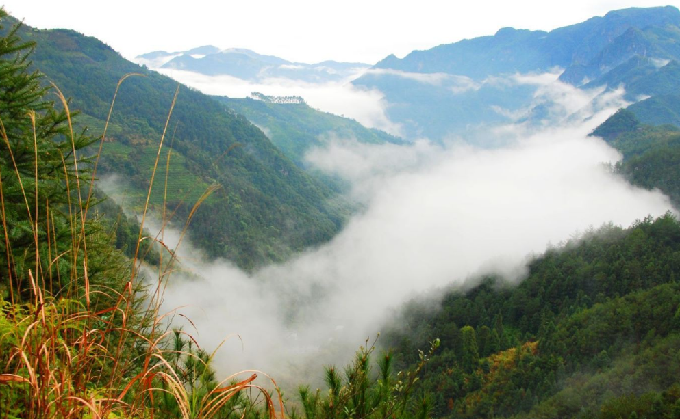 福安白云山风景区(福安白云景区旅游攻略)