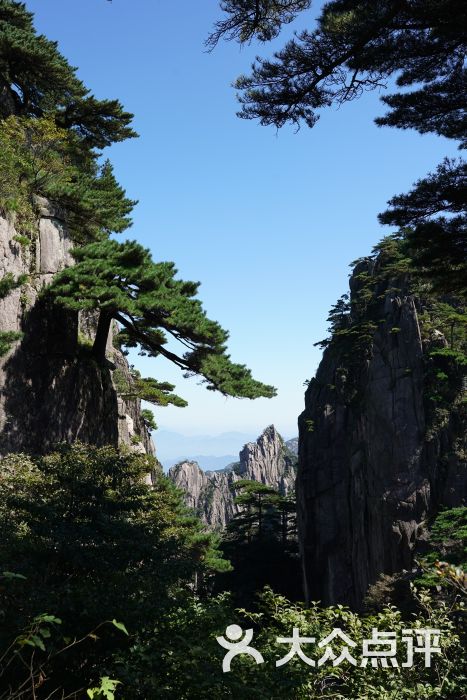 黄山风景区图片(黄山景区官网首页)