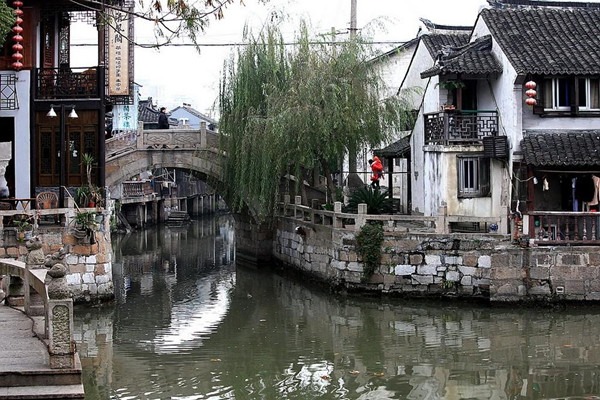 枫泾旅游(枫泾旅游公司总经理)