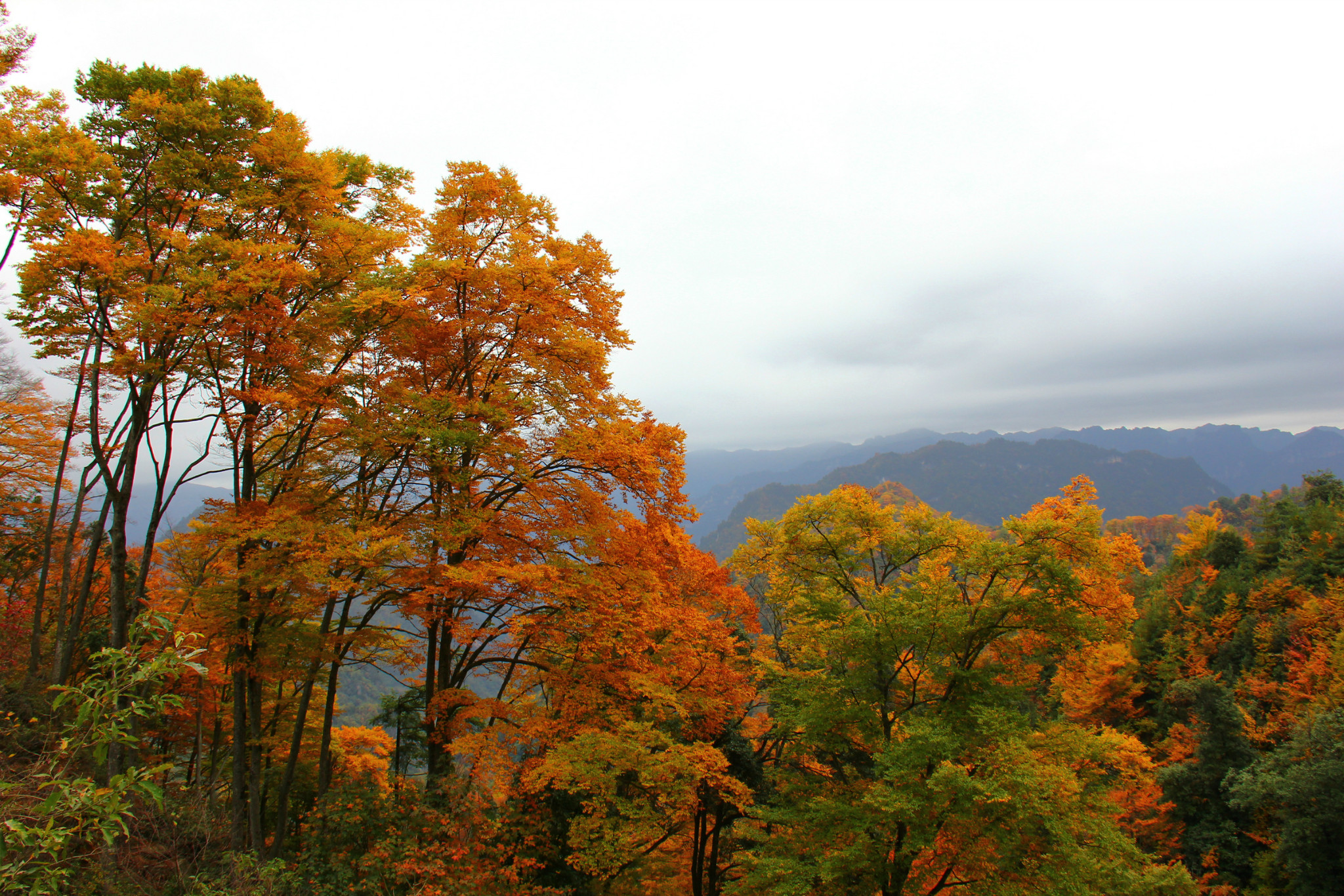 光雾山旅游攻略(光雾山旅游攻略,光雾山攻略)