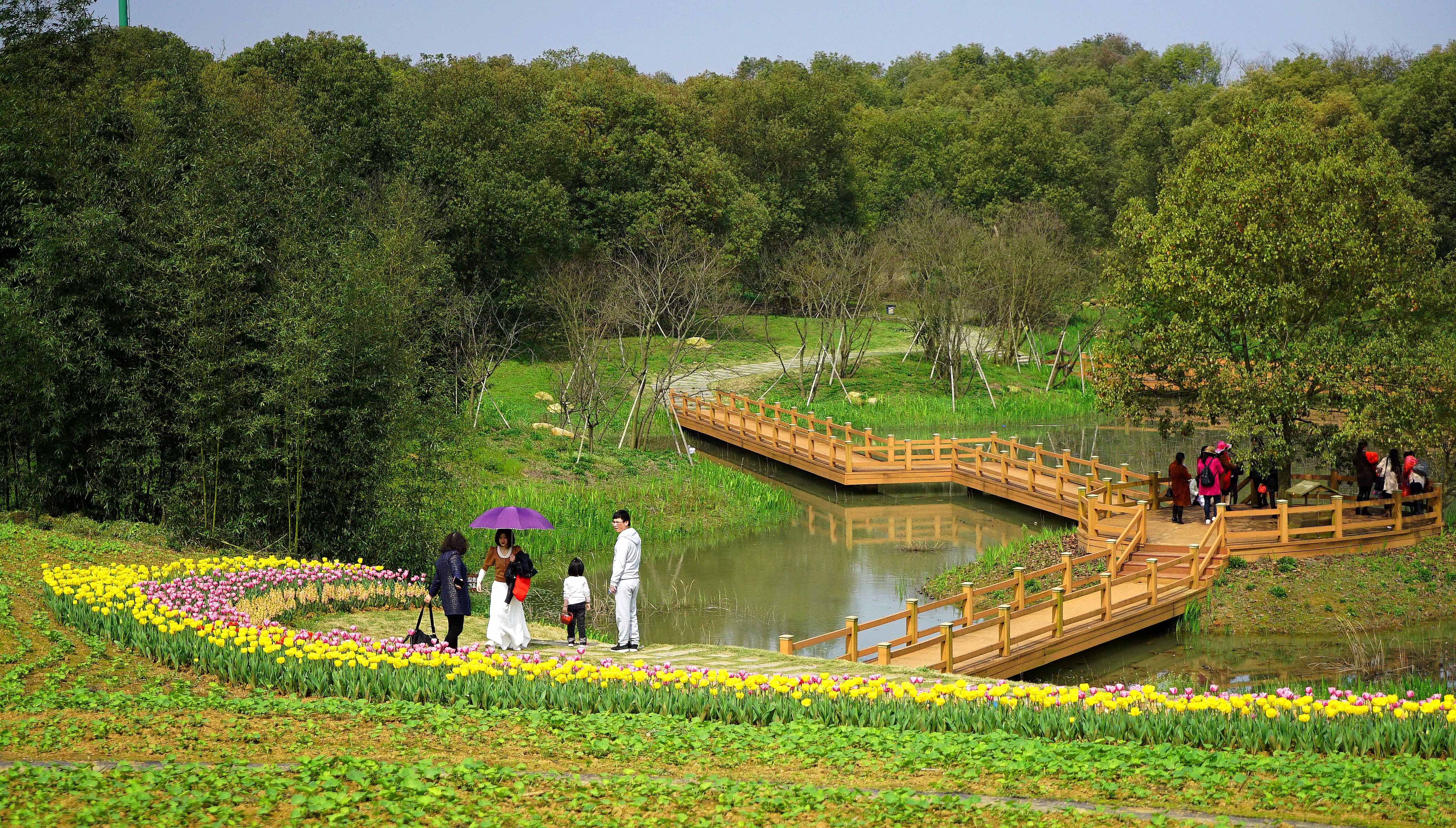 凤凰沟风景区(江西南昌凤凰沟风景区)