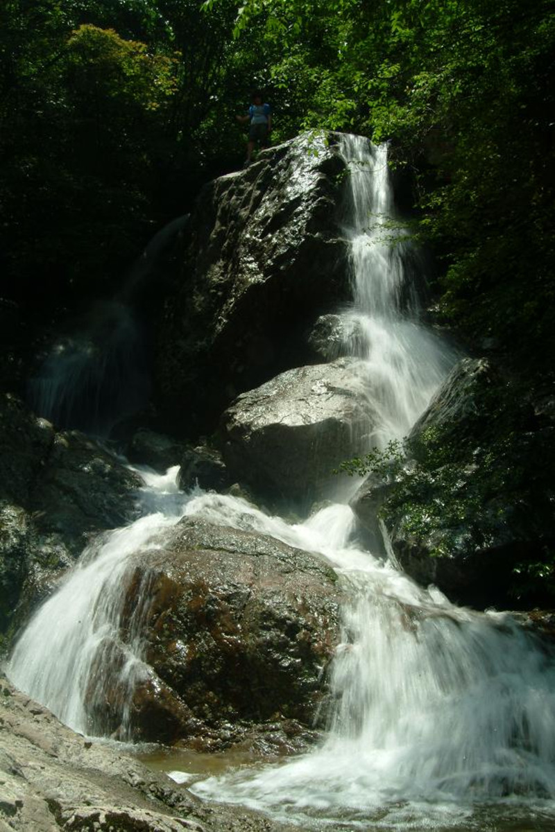 栾川旅游网(栾川旅游网信息)