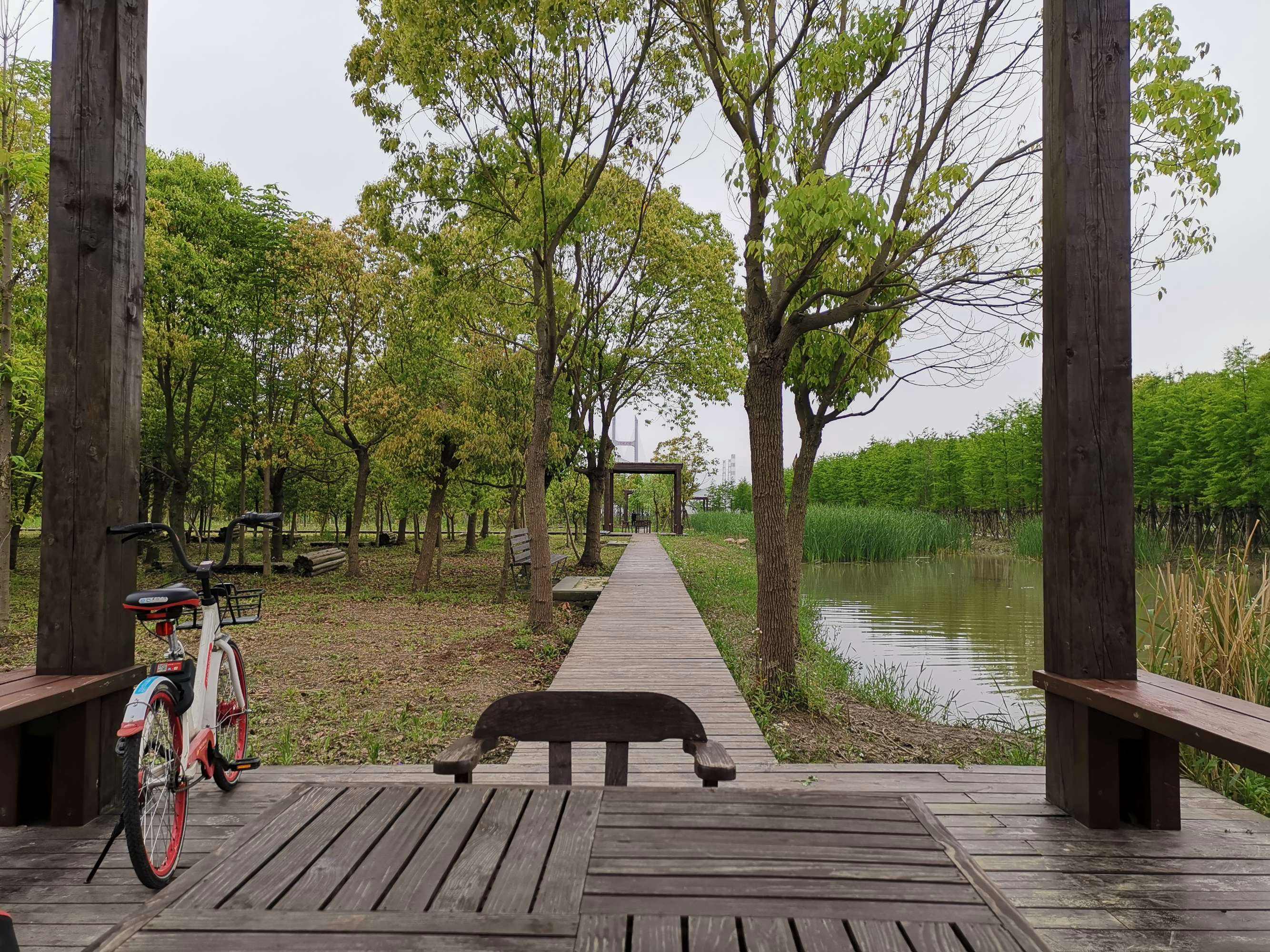 上海景区(上海景区排名必游景区)