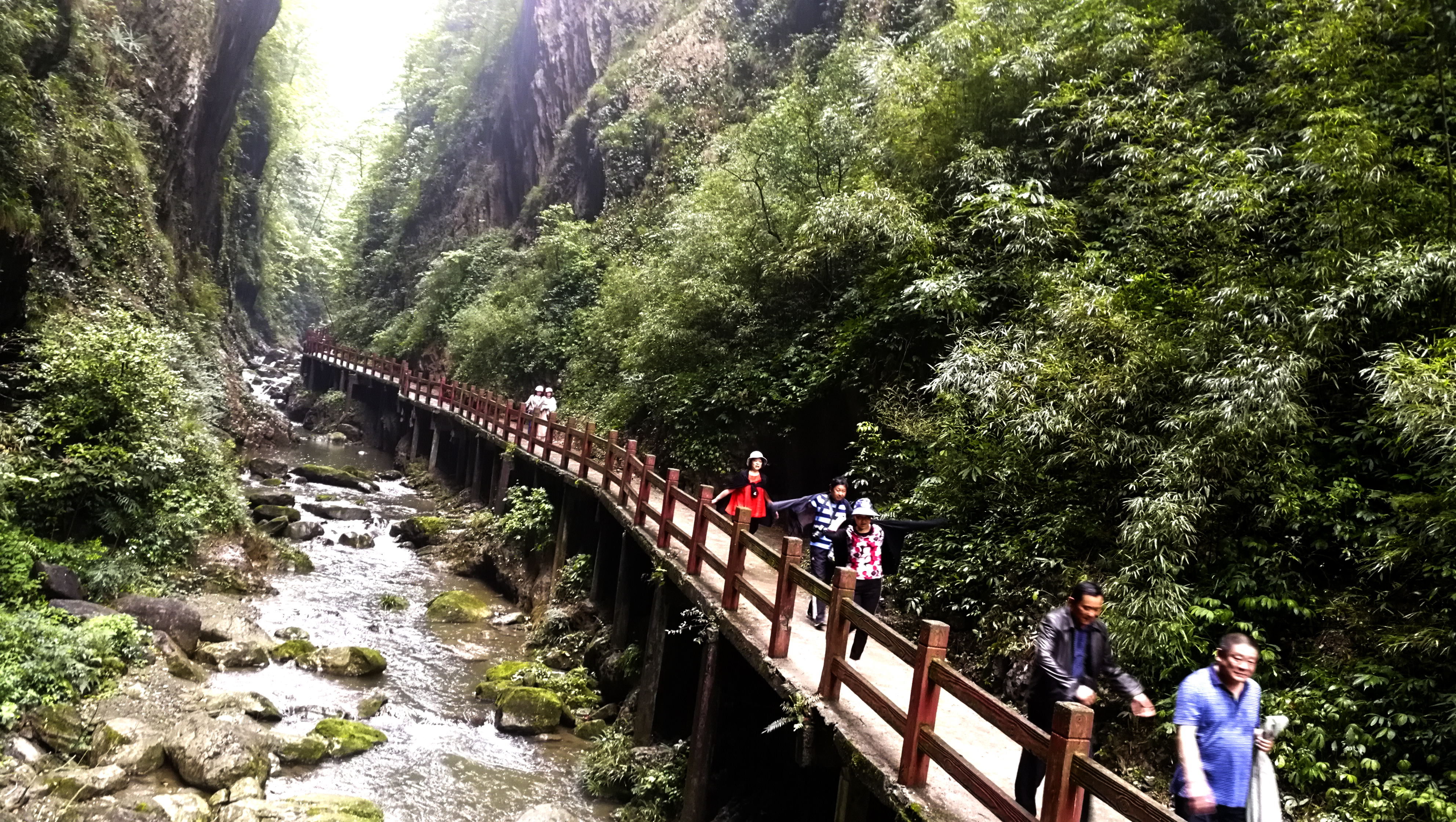 重庆到金佛山路线(重庆到金佛山多少公里路程)